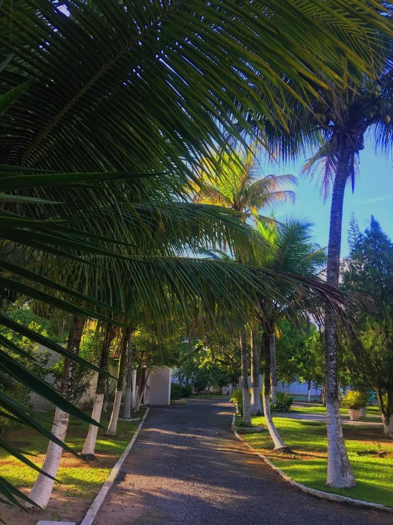 Recepção